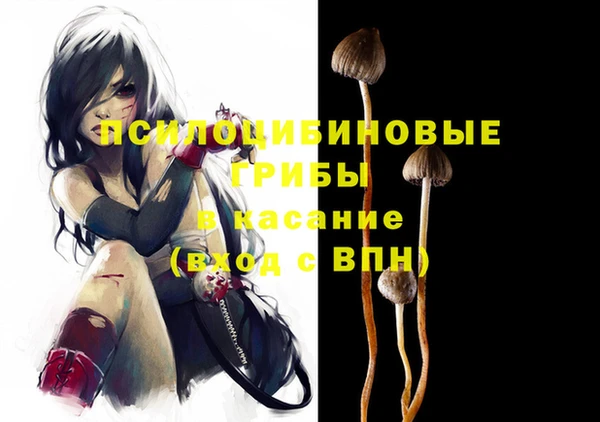 мдпв Абаза